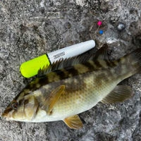 TronixPro Sea Float Kit